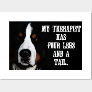 Bernese Mountain Dog Therapist Posters and Art